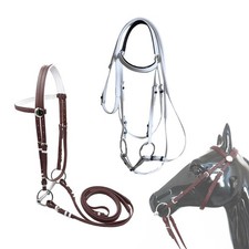 Briglia per cavallo con