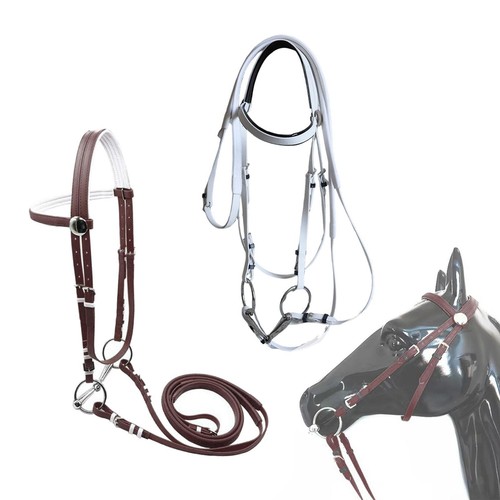 Briglia per cavallo - , con