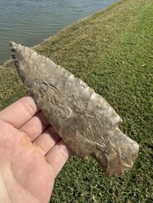 Rara punta lama punta freccia