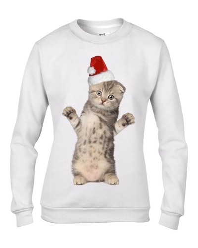 Gattino con babbo natale - gattino,