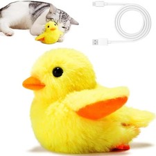 Gioco Gatto Interattivo