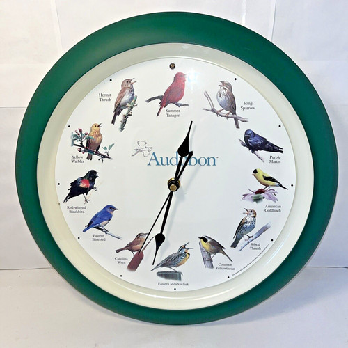 Audubon bird orologio - orologio, da