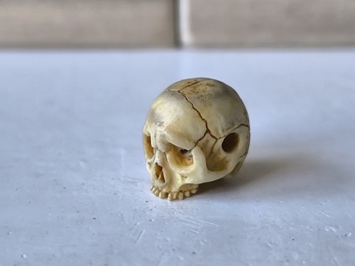 Memento mori vanitas - vanitas, skull