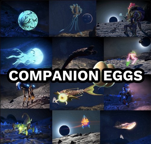 Man sky companion - no, ✶