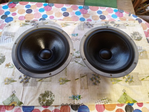 Coppia woofer celestion t - coppia,