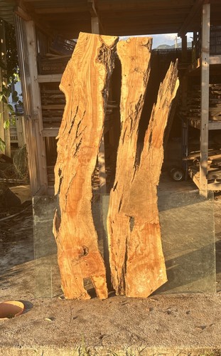 Coppia tavole legno - di, di