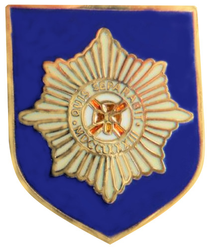 Distintivo spilla esercito