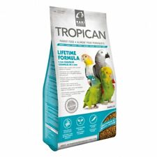 estrusi HARI x pappagalli 820