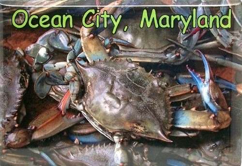 Ocean city maryland - maryland, con