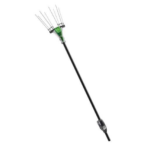 Ego lotus scuotiolive asta - ego,