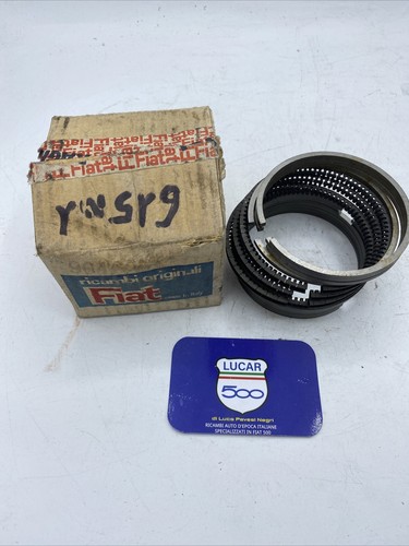Kit fasce elastiche - elastiche, pistoni