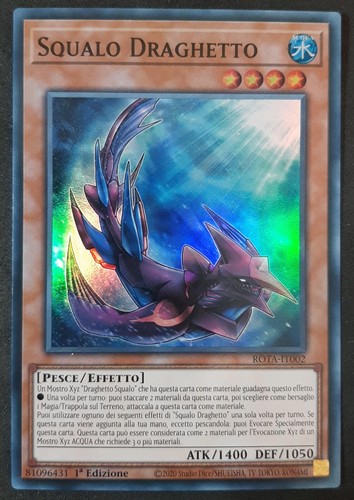 Squalo draghetto super rara - squalo,