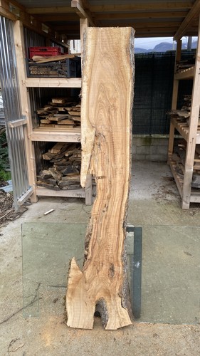 Tavola legno ulivo - legno, di
