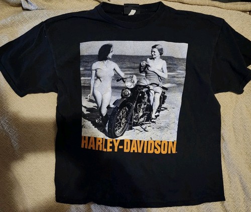 Harley davidson museum - davidson,