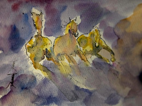 Quadro acquerello cavalli