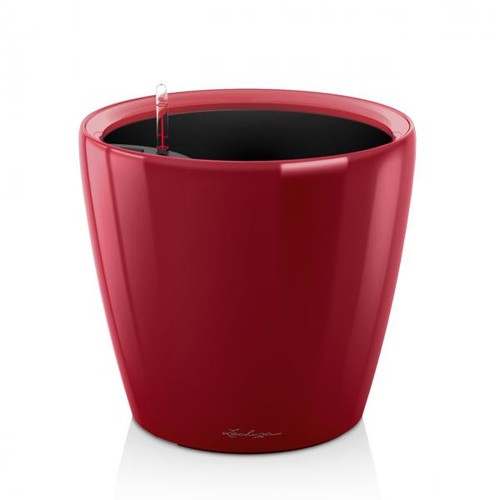 Lechuza jardiniere classico - jardiniere,