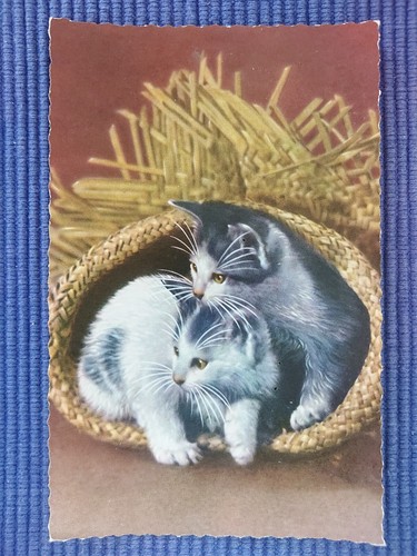 Vecchio cartolina gatti - vecchio, ak