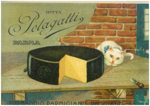 Busta pubblicitaria pelagatti - pubblicitaria,