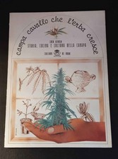 Campa cavallo che l'erba