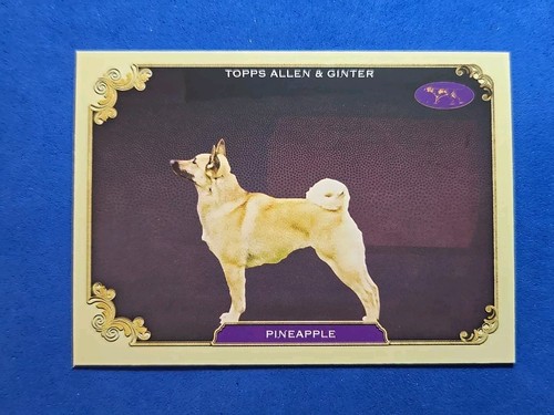2024 pineapple topps allen - pineapple,