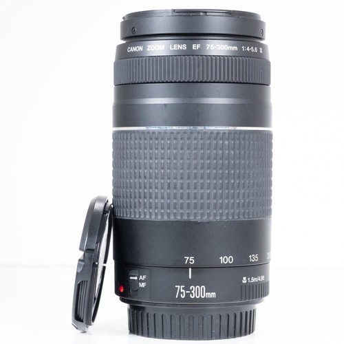 Canon 300 0 - 75-300, f/4.0-5.6