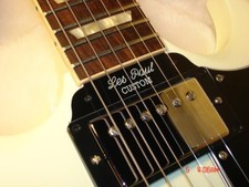 Gibson SG Guitar Tenon Cover