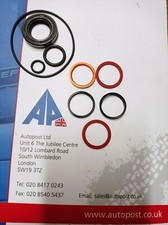 Pompa Servosterzo Riparazione