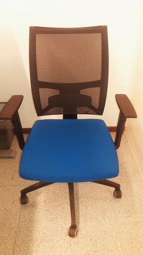Sedia pro ergonomica ufficio - sedia,