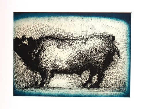 Marino marini toro - marini,