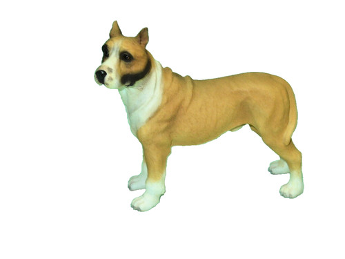 American stafford terrier - terrier,, 3"