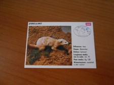 FIGURINA COLLEZIONE SCHEDE