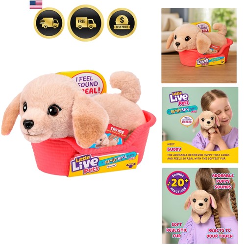 Really real puppy - my, mini