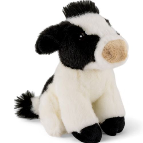 Mucca seduta bianco nero - in,