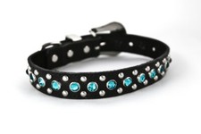 NUOVO! Collare per cani in