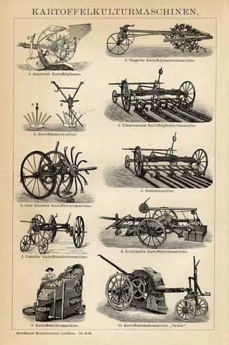 1889 stampa antica - 1889,