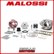 3118679 GRUPPO TERMICO MALOSSI