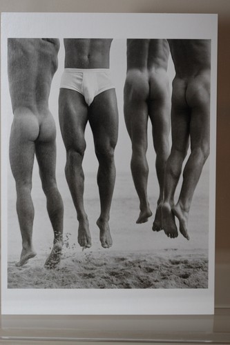 Herb ritts jump cartolina - herb,