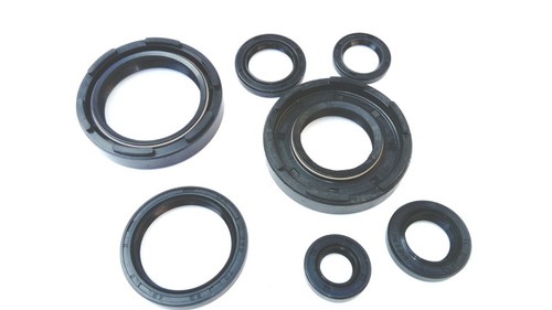 Kit guarnizioni olio motore