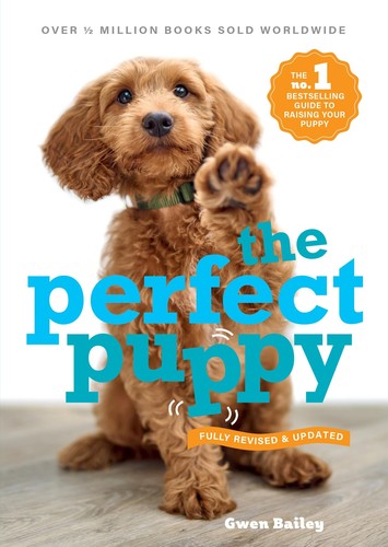 Perfect puppy the - puppy:,