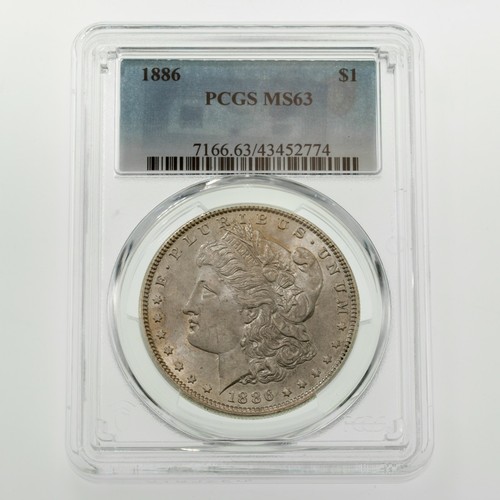 1886 dollaro d argento - $1, d'argento