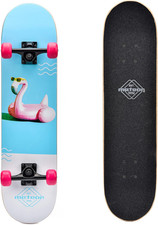 Skateboard Mini Cruiser Retro