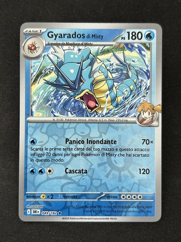Pokemon gyarados - pokemon,