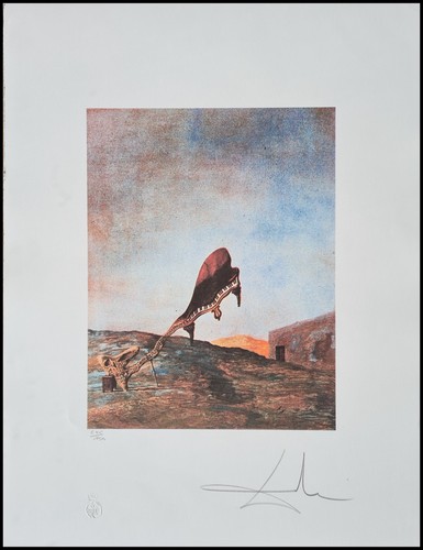Salvador dali teschio and - dali, e