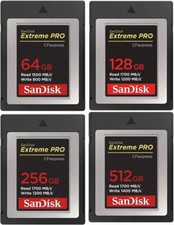 Scheda SanDisk CF Extreme Pro