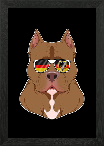 Pitbull germania occhiali - germania,