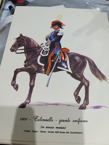 Stampa carabinieri colonnello - stampa,