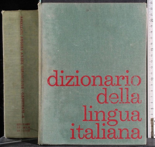 Dizionario della lingua - dizionario,