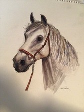 TESTA DI CAVALLO DIPINTO