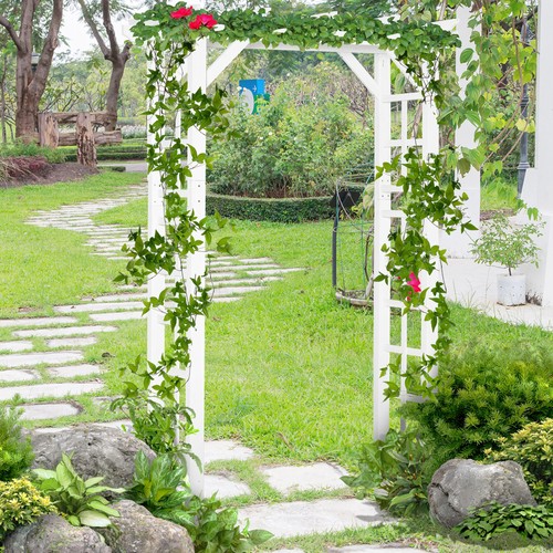 Natural wooden backyard - ft,