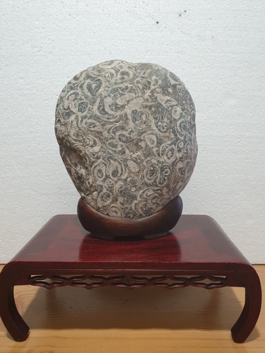 Suiseki pietra disegnata - suiseki,,